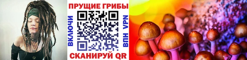 Псилоцибиновые грибы мухоморы  Кумертау 